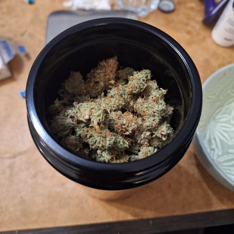 Orion F1 #2 growlog photo: 2. Pflanze 50g