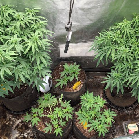 Red velvet f2 growlog timeline photo