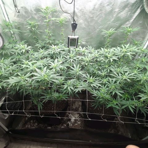 Red velvet f2 growlog timeline photo