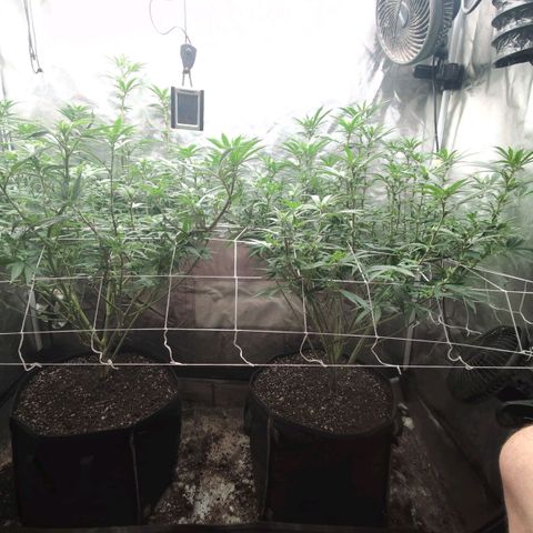 Red velvet f2 growlog timeline photo