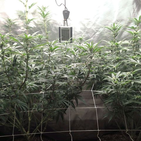 Red velvet f2 growlog timeline photo
