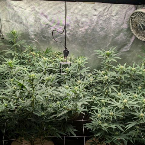 Red velvet f2 growlog timeline photo