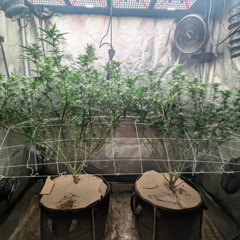Red velvet f2 growlog timeline photo