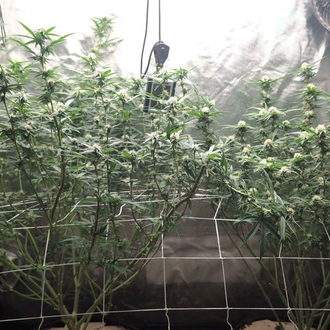 Red velvet f2 growlog timeline photo
