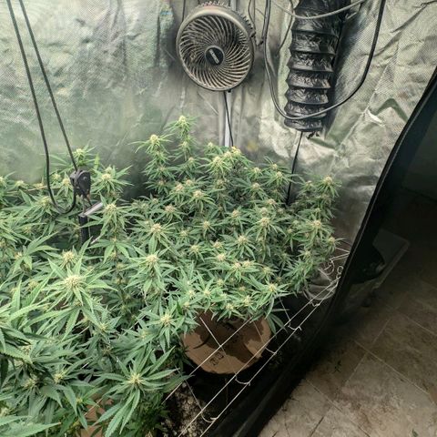 Red velvet f2 growlog timeline photo