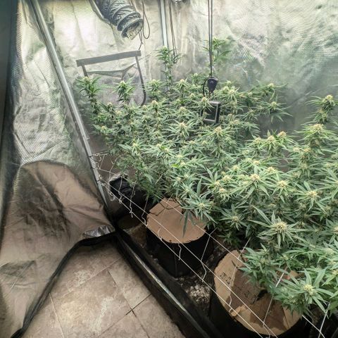 Red velvet f2 growlog timeline photo