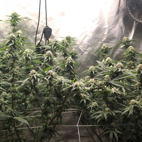 Red velvet f2 growlog timeline photo