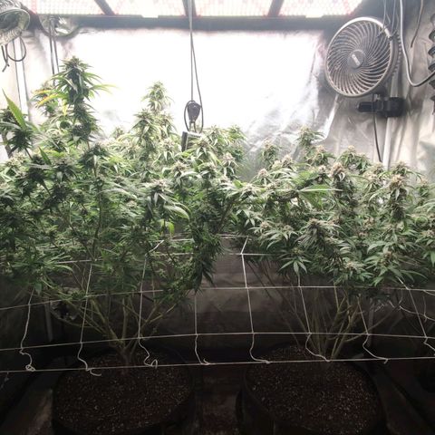 Red velvet f2 growlog timeline photo
