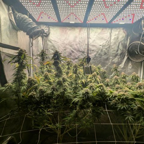 Red velvet f2 growlog timeline photo