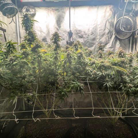 Red velvet f2 growlog timeline photo