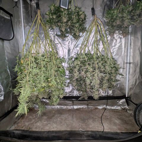 Red velvet f2 growlog timeline photo