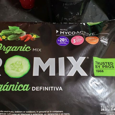 Pain Killer - Competition Grow (10 beans) growlog photo: My 4 plants chosen for round 1 of the competition 