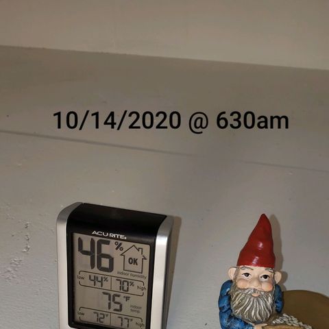 Pain Killer - Competition Grow (10 beans) growlog timeline photo