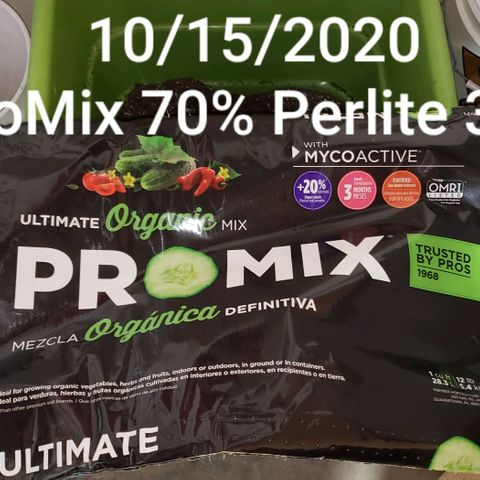 Pain Killer - Competition Grow (10 beans) growlog timeline photo