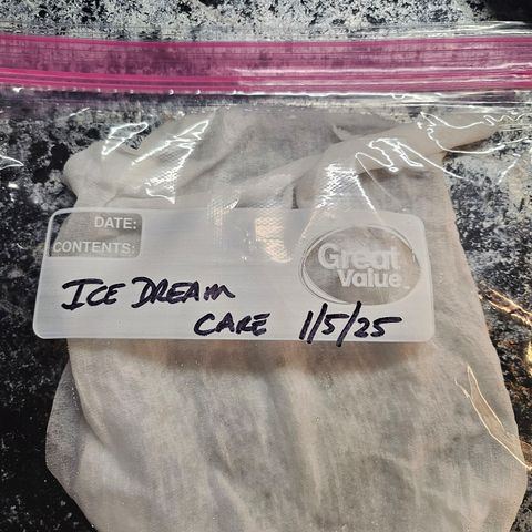 Ice Dream Cake - Seedman.com growlog photo: Using RO water, germination begins with a paper towel inside a plastic ziplock bag. I have placed then in my temperature controlled room and will check in them in a couple days.