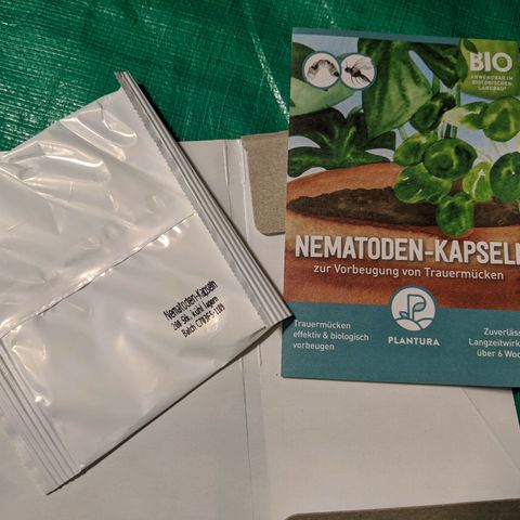 Blueberry Muffin growlog photo: Nematoden-Kapseln ins Substrat eingebracht