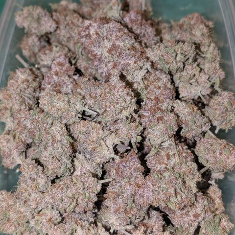 Blueberry Muffin growlog timeline photo
