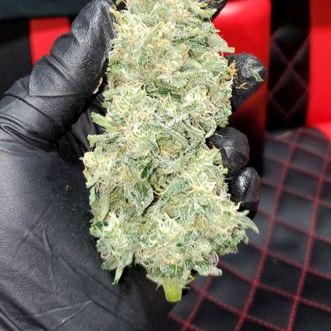 SBC-FA#1 growlog timeline photo