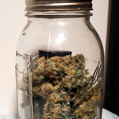 SBC-FA#1 growlog timeline photo