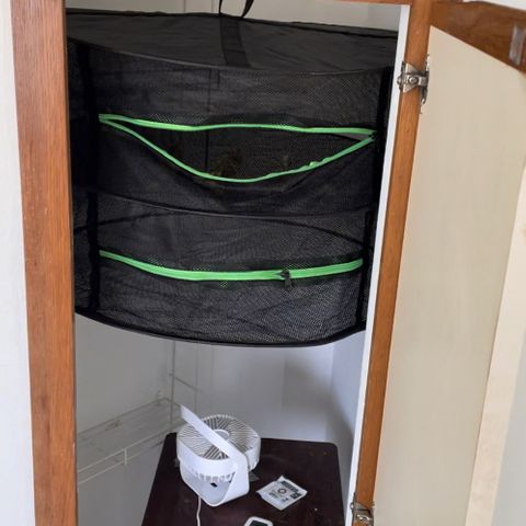 Green Gelato Automatic growlog photo: Hanging drying rack