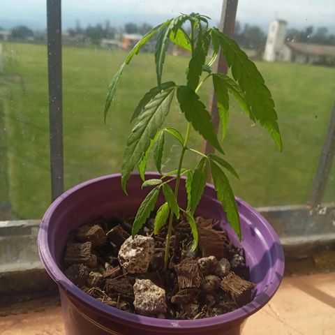 008 Karen growlog photo: Sin novedad