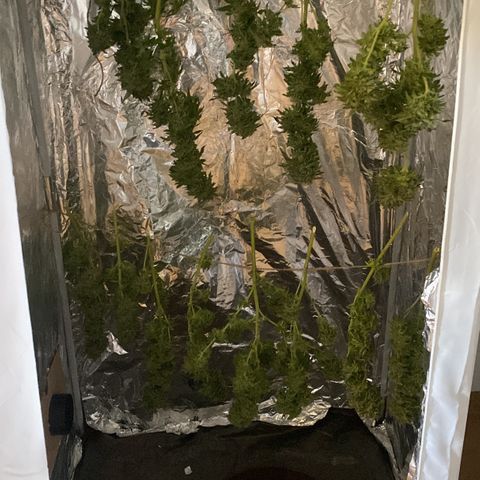 Wedding cake  growlog timeline photo