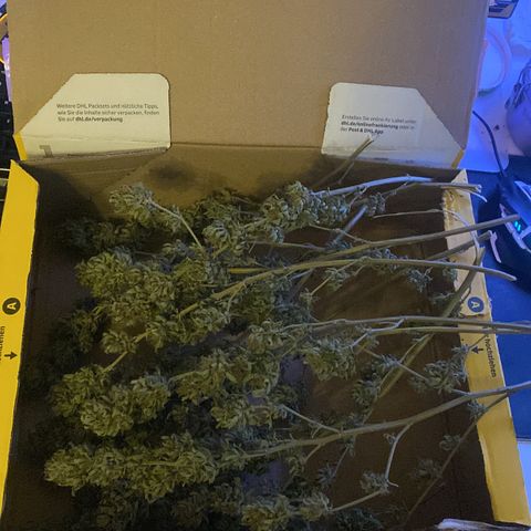 Wedding cake  growlog timeline photo