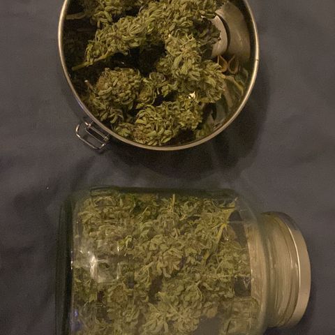 Wedding cake  growlog timeline photo