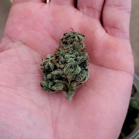 Northern lights growlog photo: Fim!! 
