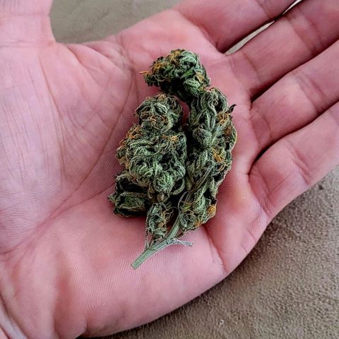 Northern lights growlog photo: Fim!! 