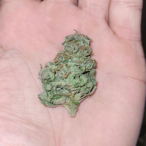 Northern lights growlog photo: Fim!! 
