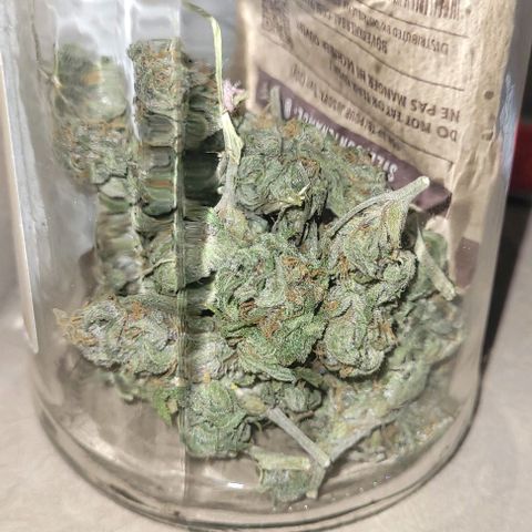 Northern lights growlog timeline photo