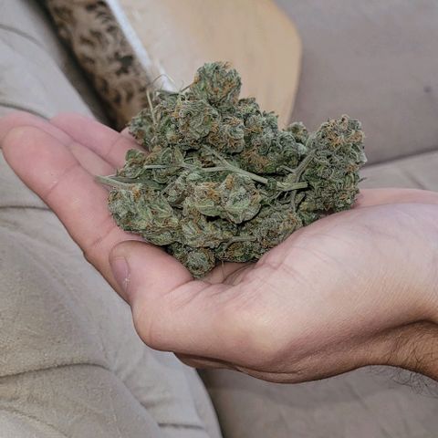 Northern lights growlog timeline photo