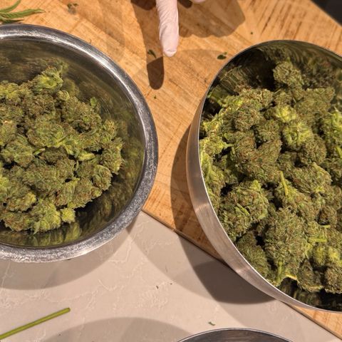 Candy Keit Auto growlog timeline photo