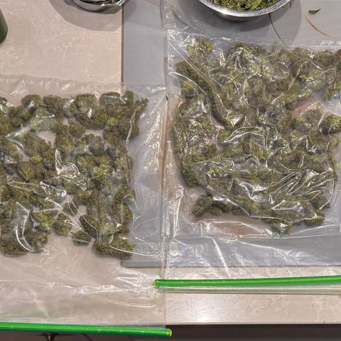 Candy Keit Auto growlog timeline photo