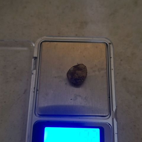 3️⃣-Fast Buds Auto Branco growlog timeline photo