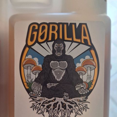 Double Cookies - BSF growlog photo: Adubação - 2ml humus - 1ml bokashi - 1ml algafish - 2ml chá babosa - 10ml gorilla microbes - 1g extrato algas