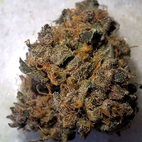 Fast Buds Mix Pack5️⃣ growlog timeline photo