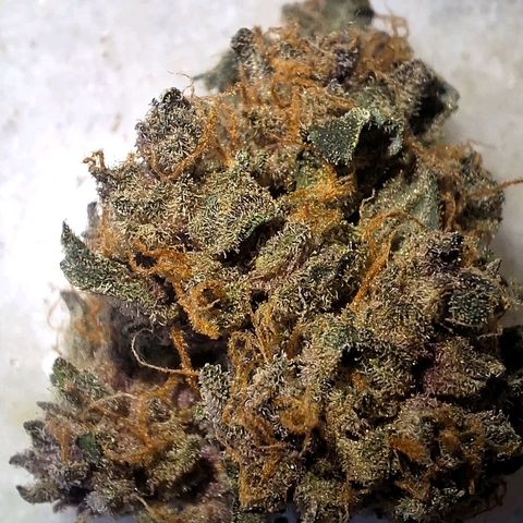 Fast Buds Mix Pack5️⃣ growlog timeline photo