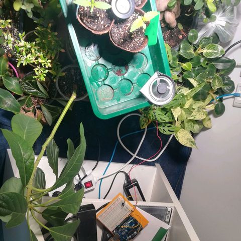 Dance World growlog timeline photo