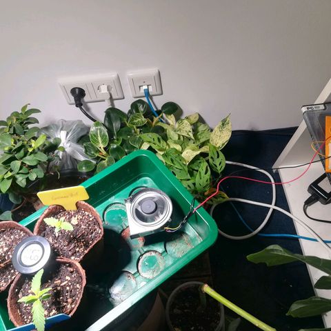 Dance World growlog timeline photo