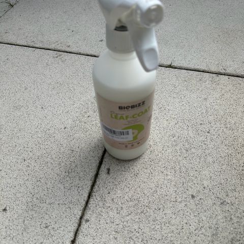 Steffi DieErste growlog timeline photo