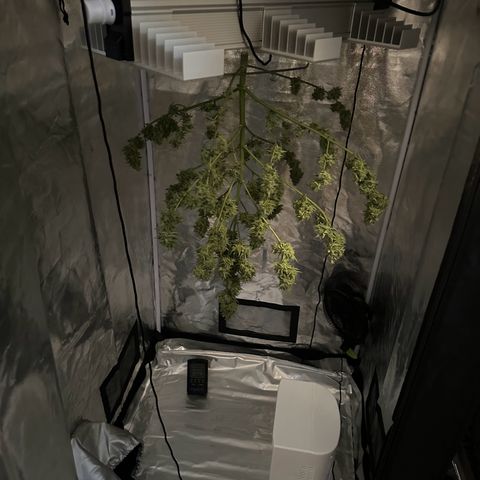 Steffi DieErste growlog timeline photo