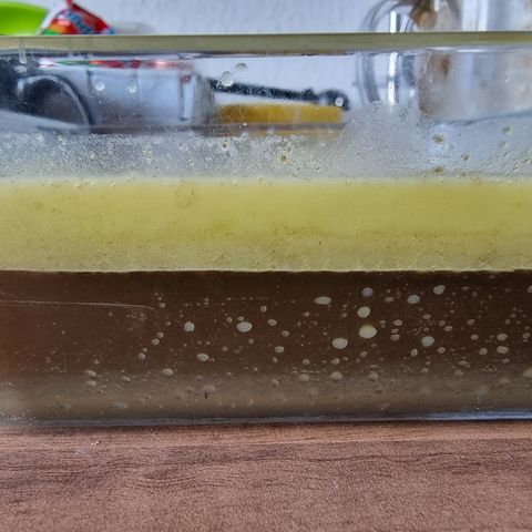 Foto do growlog de 💣: wird eingefroren