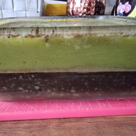 🌹 growlog photo: 20h Butter, ursprünglich 500g