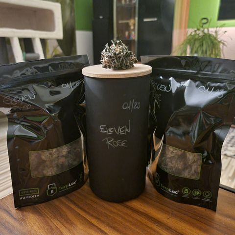 🌹 growlog photo: sexy
