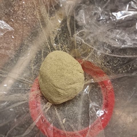 Foto do growlog de 💣: Hasch aus dem fermentierten Verschnitt