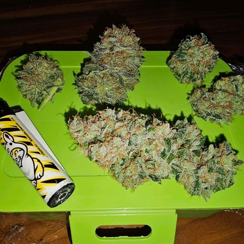 Wappa❗️ growlog photo: Zur Probe