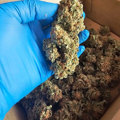 Chocoloco growlog timeline photo