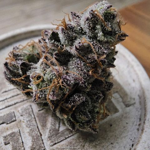 Picasso #2 growlog photo: eine Spitze gesafet